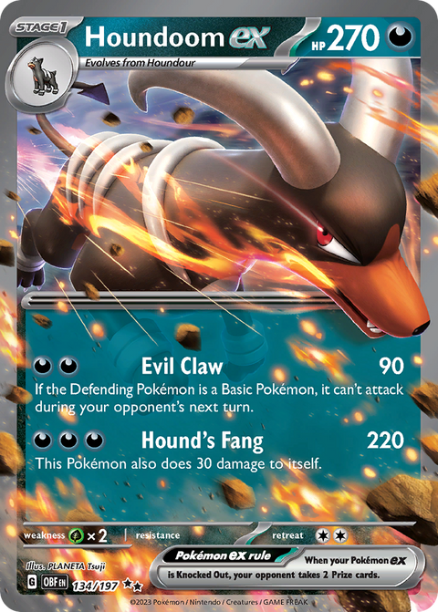 Houndoom EX - 134/197
