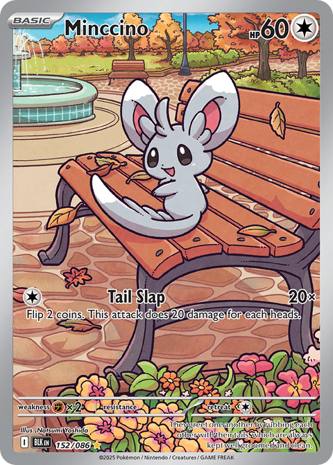 Minccino - 152/086