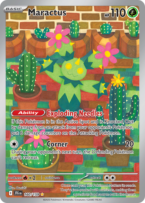 Maractus - 160/159