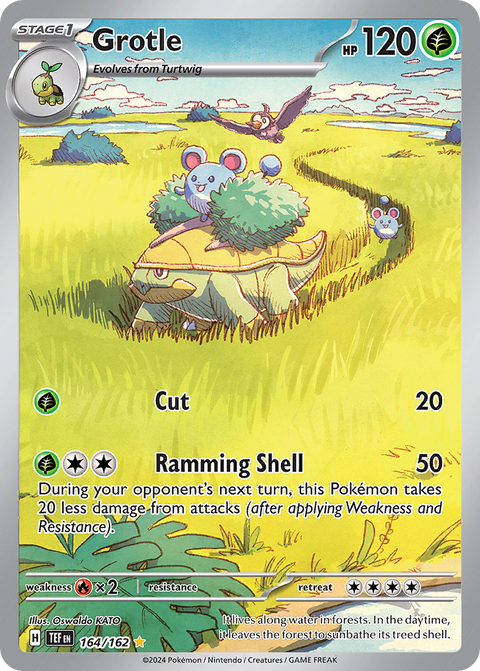 Grotle - 164/162