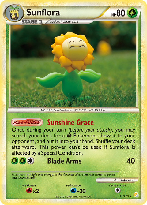 Sunflora - 31/123