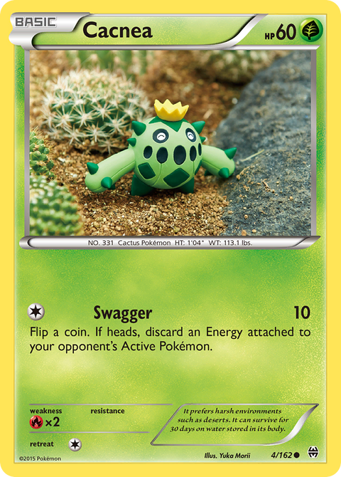 Cacnea - 4/162