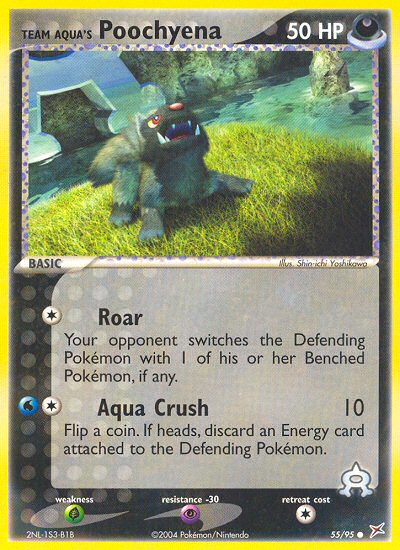 Team Aqua's Poochyena - 55/95