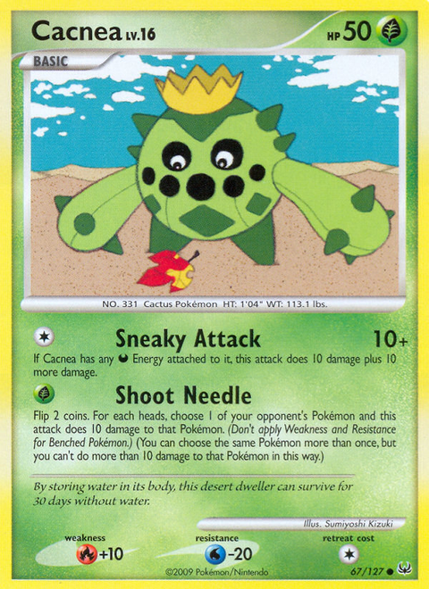 Cacnea - 67/127