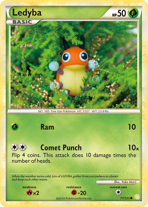 Ledyba - 71/123