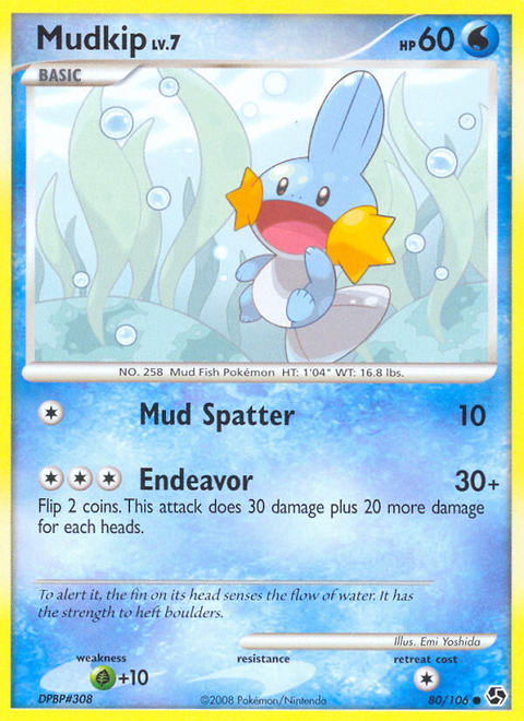 Mudkip - 80/106