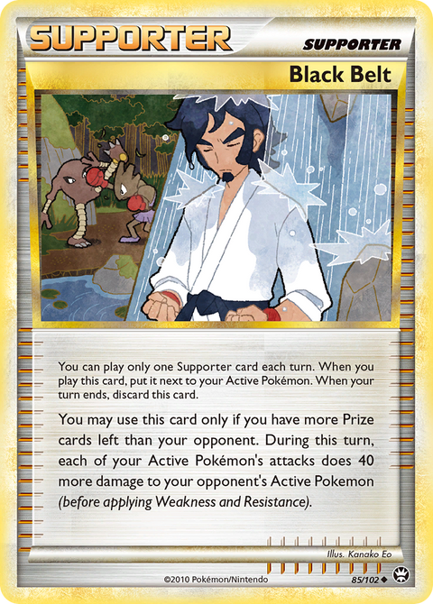 Black Belt - 85/102