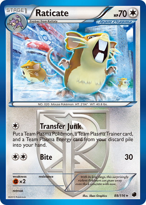 Raticate - 88/116