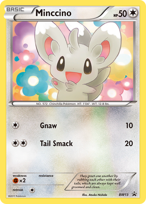 Minccino - BW13