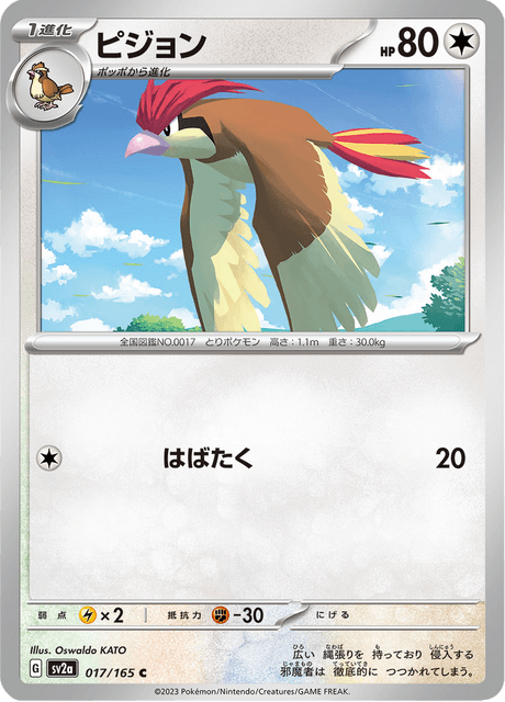 Pidgeotto - 017/165 (JPN)