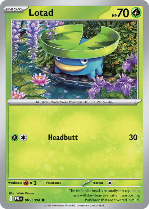 Lotad - 005/094