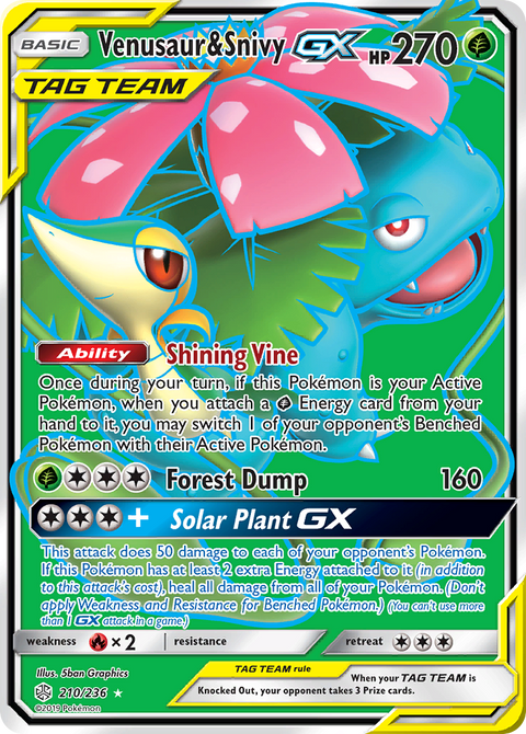 Venusaur & Snivy GX - 210/236