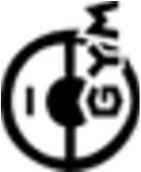 Brock's Mankey - (Leaders' Stadium)