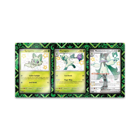 Paldean Fates Premium Collection Frame w/ Promos