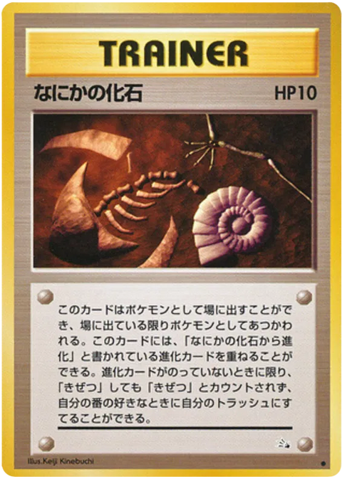 Mysterious Fossil - (Mystery Of The Fossils)