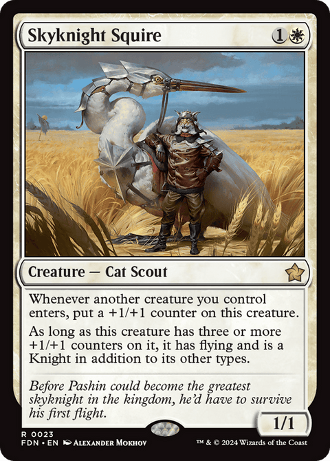 Skyknight Squire - 23