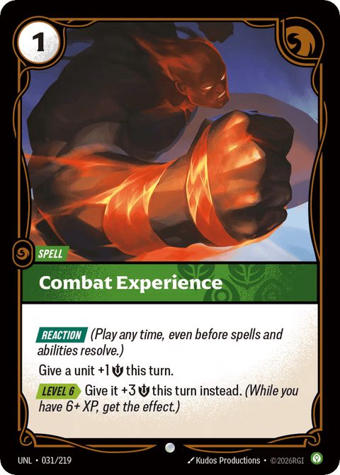 Combat Experience - 031/219