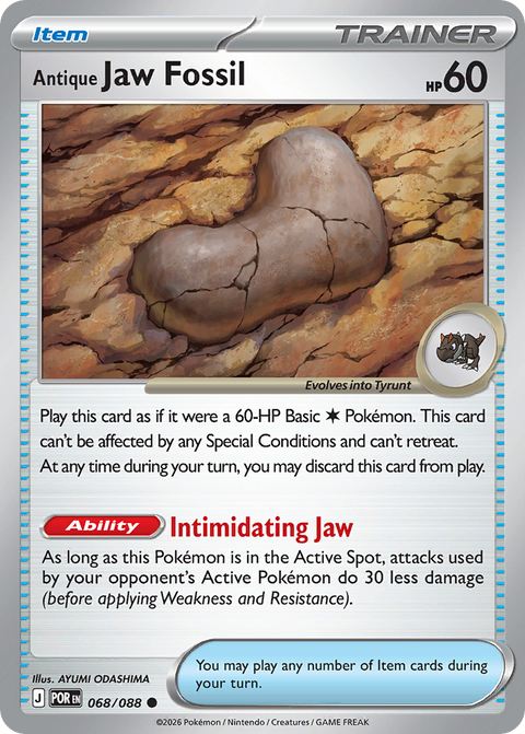 Antique Jaw Fossil - 068/088