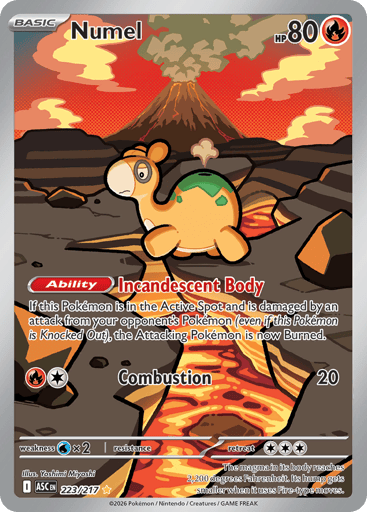 Numel - 223/217
