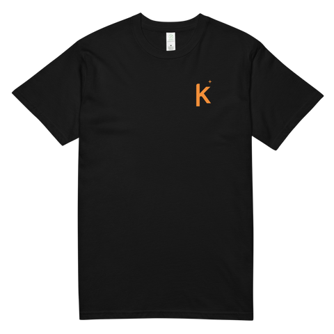 Kollecter Studio Original - Lance Gyarados